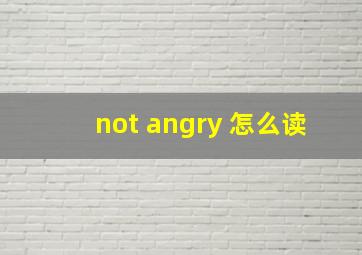 not angry 怎么读